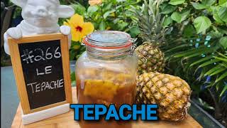 TEPACHE [upl. by Limaj]