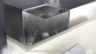 Hoshizaki Cube Ice Maker [upl. by Ahsilahk751]