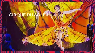 LUZIA  Pez Volador  Official Music Video  Cirque du Soleil [upl. by Nhaj]