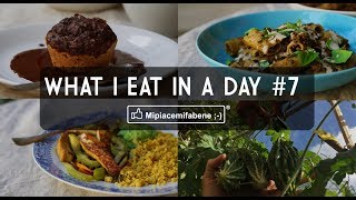 What I Eat in a Day 7  Piatti Completi Veganfriendly [upl. by Isawk]