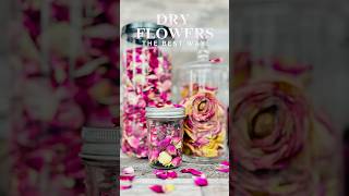 Dry Your Flowers With This Simple Trick [upl. by Lamori]