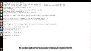 OpenIDM  Configuring SSL with JDBC [upl. by Ecnerual403]