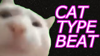 I made a beat with cat noises cat meow rap meme original song [upl. by Quarta]