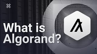 What is Algorand ALGO [upl. by Lapham393]