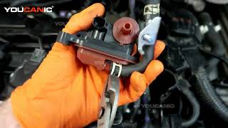 Honda Evap Canister Purge Valve Sensor Replacement  P924 [upl. by Stanleigh]