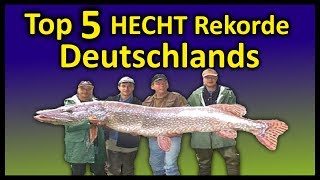 Top 5 Rekord HECHTE Deutschlands  146 Meter Hecht [upl. by Occir265]