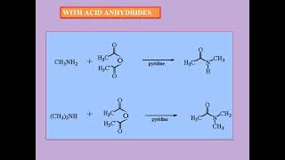 BCU NEP CHEMISTRY Amines4 Distinguishing reactions of amines Hinsberg reagent Alkylation Acylation [upl. by Anelleh85]