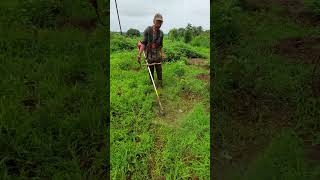 Grass cutting machine shorts viralvideo viral [upl. by Ellery]