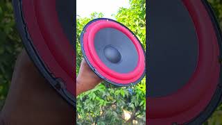 LG Xboom 8 inch Subwoofer vs Boschmann 8 Inch subwoofer [upl. by Imoian]