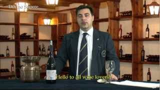 Valpolicella Classico Superiore Ripasso DOC 2009 Antolini  Videodegustazione Online wine tasting [upl. by Merete]