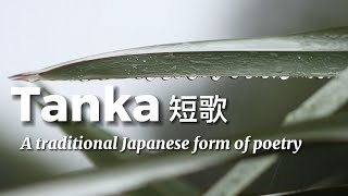 Tanka one of the oldest forms of Japanese poetry [upl. by Imoyn247]