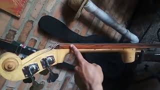 lo que se debe hacer para usar un fretted que se convirtió en fretless tutorial 🎸 [upl. by Nwhas434]