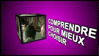 SIEP  DVD Lalternance  Clip vidéo [upl. by Berri884]