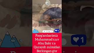 Paygambarimiz Muhammad sav 🔥 shoes uzkino kinolar shortsviral uzbekkino [upl. by Anaul]