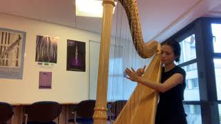 Mikhail Glinka’s La Séparation Nocturne 1839 by Harp [upl. by Cleopatra96]