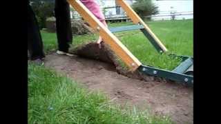 How to Use a Sod Cutter How to cut sod for landscaping gardening cement Edge sidewalks [upl. by Garlen742]