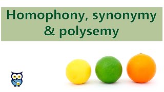 Homophony Synonymy Polysemy [upl. by Henryetta]