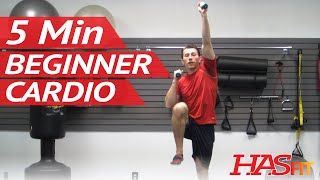 5 Minute Easy Workout  Low Impact Cardio Exercises for Beginners  Low Impact Cardio Workout [upl. by Waldemar]