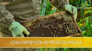 Como Emprender un Proyecto Apicola  TvAgro por Juan Gonzalo Angel Restrepo [upl. by Geminian]