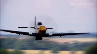 P51D Mustang quotFerocious Frankiequot [upl. by Meil]