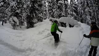 Revelstoke South Bowl quotSurprisequot Powder Dump [upl. by Gaidano]