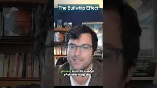 The Bullwhip Effect in Agricultural Economics [upl. by Gord725]