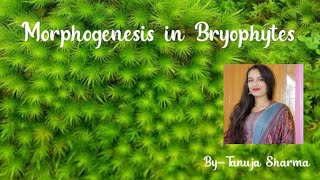 Morphogenesis in Bryophyte [upl. by Mundford]