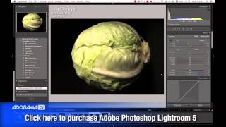 Fine Art Still Life Ep 138 Exploring Photography with Mark Wallace [upl. by Nitsugua]