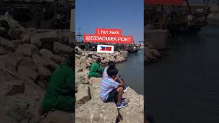 essaouira port  enjoying fresh fish for lunch morocco moroccolife essaouira [upl. by Hennahane439]