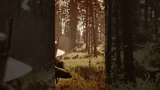 A Whisper amongst the Tall Trees rdr2 reddeadredemption playstation [upl. by Leitao20]