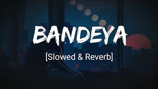 Bandeya  Arijit Singh SlowedReverb  Dil Juungle song  Tunemusic [upl. by Ardeahp]