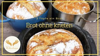 Nur 3 Stunden und 1 Tasse So ein leckeres Brot hast du noch nicht gegessen Brot ohne kneten [upl. by Irneh]