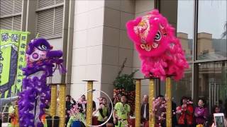 Chinese New Year 2017 Lion Dance  Discovery Bay Hong Kong [upl. by Oluas]