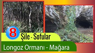 şile gezilecek yerler  longoz Ormanı  Sofular mağarası  kum zambağı  Roma Yontu Yolu [upl. by Ruby]