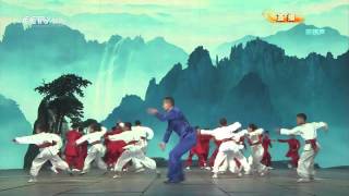 Wushu Performance  Chinese New Year 2013  2013年春晚《中国武术》 [upl. by Pleasant]