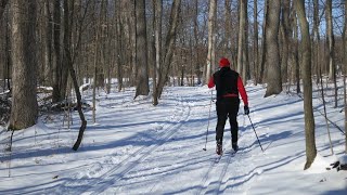 How To CrossCountry Ski A Beginners Guide [upl. by Ahsok]