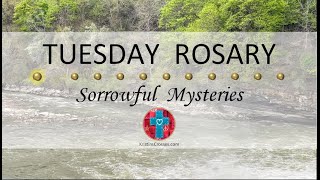 Tuesday Rosary • Sorrowful Mysteries of the Rosary 💜 September 3 2024 VIRTUAL ROSARY  MEDITATION [upl. by Marasco285]