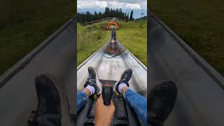 Pilatus Trip pilatus trip tobogganing nice nature mountains dragon gondolas train mountain [upl. by Anilag]