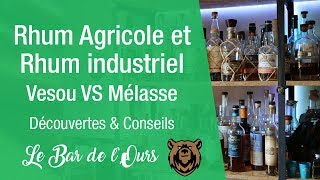 Rhum Agricole amp Rhum industriel la différence Vesou VS Mélasse  Découvertes amp Conseils [upl. by Jamima]