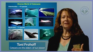 Toni Frohoff cetaceans older than humans [upl. by Blinnie870]