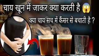 चाय हमारे पेट में जाकर क्या करती है 😱  Chai Peene Se Kya Hota Hai  Tea Benefits And Side Effect [upl. by Baal]