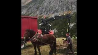 Bauhof Lech am Arlberg Forstarbeiten Hoher Bühl [upl. by Sissie]