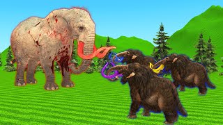 3 Wooly Mammoths vs Giant Elephant  Battle for watermelon [upl. by Eiuol]