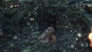 Bloodborne blood stone chunk chalice dungeon farm [upl. by Aihtennek]