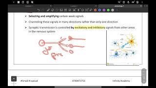 L6 The Synapse  Physiology Masters 2023  By عبير المحمديين [upl. by Heloise317]