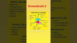 Function of the brain 🧠 ll brain hypothalamus medical nursing doctorneet shorts trending [upl. by Anna-Maria]