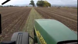 Sugar Beet Harvest [upl. by Wolk276]