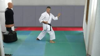 Karate  Rotation des hanches en Gyaku Hanmi karateblognet [upl. by Kcirrag868]