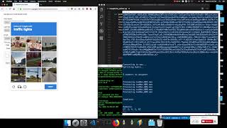 reCAPTCHA v2 Solver Automated Python Bot [upl. by Kcirddet]