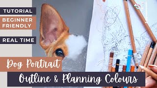 Beginning a Pet Portrait  Outline amp Planning Tones Colours [upl. by Harwill]